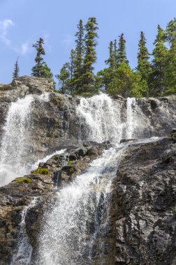 Dolaştırmak Creek Falls Kanada