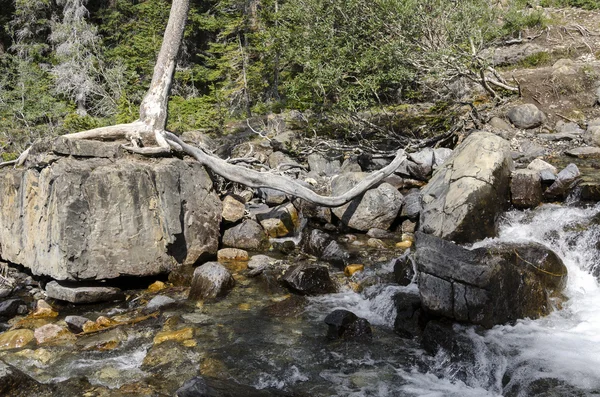 Клубок Creek Falls в Канаді — стокове фото