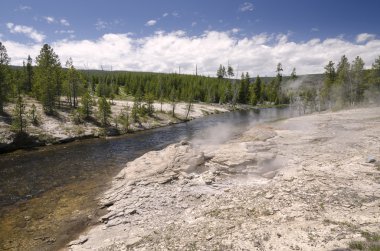 Yellowstone'da manzara