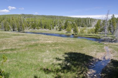 Yellowstone'da manzara