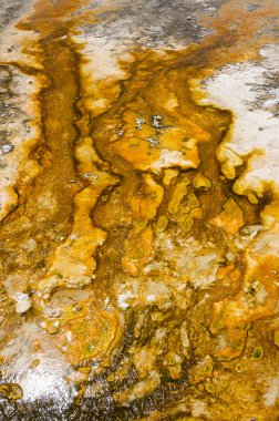 Yellowstone'da manzara