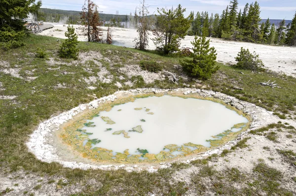 Paisaje en Yellowstone — Foto de Stock