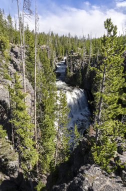 Madison nehir şelale