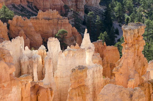 Parc national du Canyon-Bryce — Photo