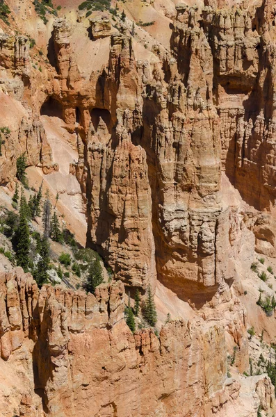 Bryce Canyon National Park — Stock Photo, Image