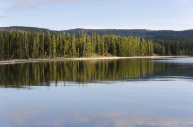 çam ağaçları yellowstone Gölü