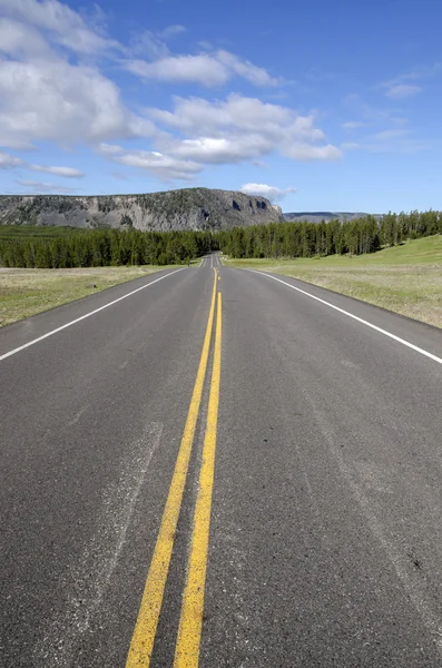 Road in Yellowstone — Stock Photo, Image