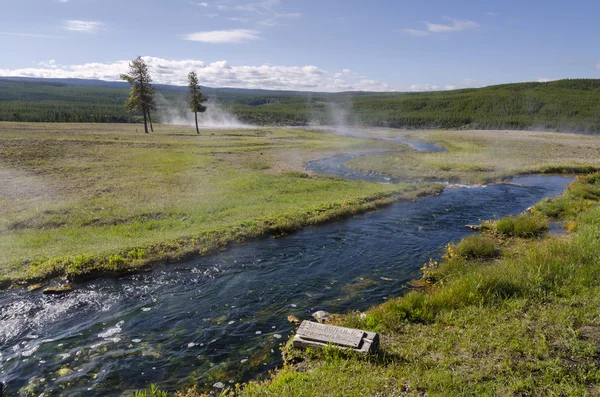 Geyser in Yellowstone — Stock Photo, Image