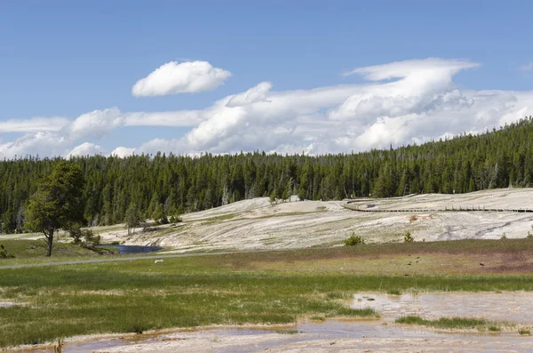 Geyser in Yellowstone — Stock Photo, Image