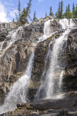 falls Creek arapsaçı