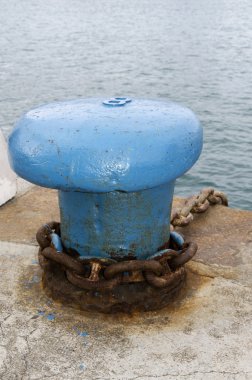 koç boynuzu sekiz numara ile mavi