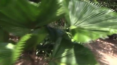 Anaokulunda oynayan iki çocuk büyük bir akvaryuma bakıyorlar. 