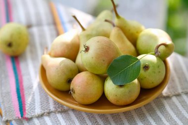 Sarı bir tabakta sarı nrushi. Olgun armutlarla dolu bir hayat. Kasede meyve var.
