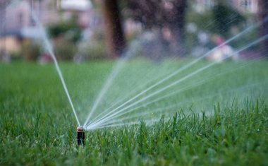 Yeşil çimlerin otomatik olarak sulanması. Bahçe sulama sistemi Çim sulama.