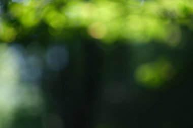 Ahşap soyut arkaplandan yeşil arkaplan Bokeh. Topların odaklanmış arka planı. Orman arkaplanı bulanık.