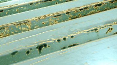 Renkli arka plan. Boya ve kabartmalarla harmanlanmış parlak bir arka plan. Genişlemeyi kolaylaştıran bir doku. Eğilimli ve pejmürde bir geçmişi var. 3d düzenleyici