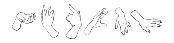 Mooie Vrouwelijke Handen Lijn Kunst Handgetekende Illustratie Geïsoleerd Witte Achtergrond — Stockvector