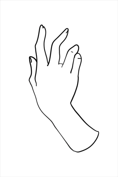 Beautiful Female Hand Line Art Hand Drawn Illustration Isolated White — 스톡 벡터