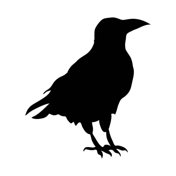 Silhouette Noire Corbeaux Illustration Vectorielle Isolée Sur Fond Blanc Eps — Image vectorielle