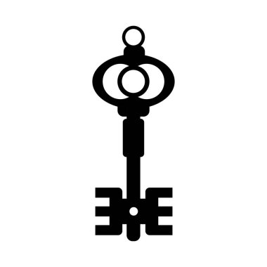 key icon vector illustration on white background