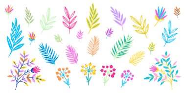 Düz renkli egzotik çiçekler.