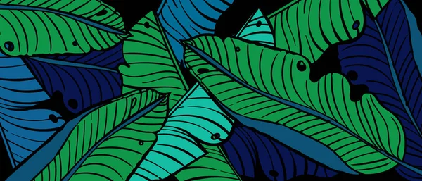 Tapeta Tropikalnego Liścia Natura Pozostawia Wzór Projektu Tło Liści Banana — Wektor stockowy