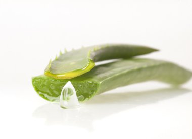 aloe vera yaprağı