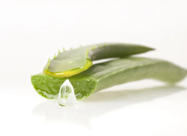 Aloe Vera Leaves — Stock Photo, Image
