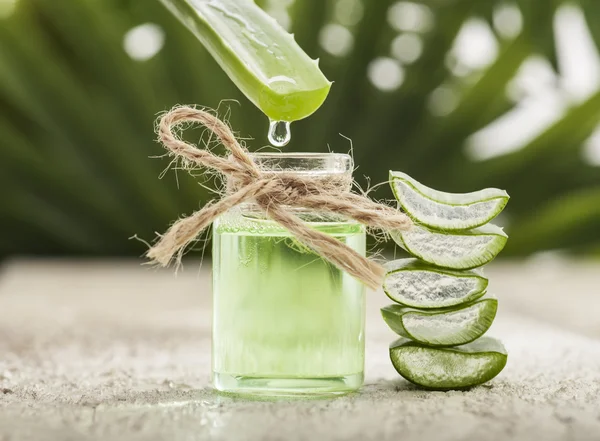 Aloe Vera Leaves