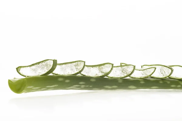 Hojas de aloe vera — Foto de Stock