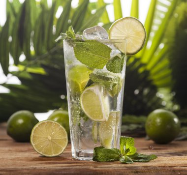 Mojito tropikal arka plan üzerinde kokteyl