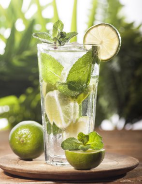 Mojito tropikal arka plan üzerinde kokteyl