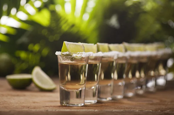 Gold tequila shots with lime fruits — Stock Photo, Image