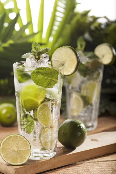 Mojito cocktail op tropische achtergrond — Stockfoto