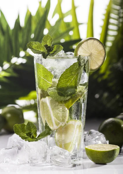 Mojito cocktail on tropical background — Stock Photo, Image