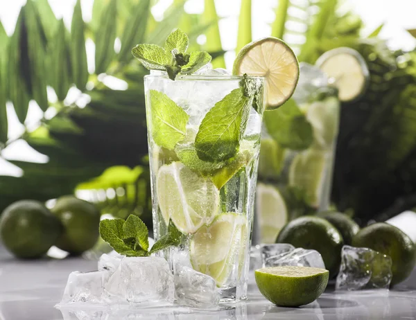 Cocktail Mojito su sfondo tropicale — Foto Stock