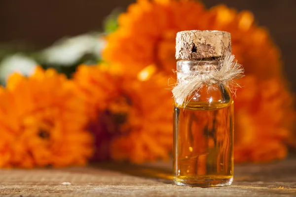 Marigold Essential Oil — Stock Photo, Image