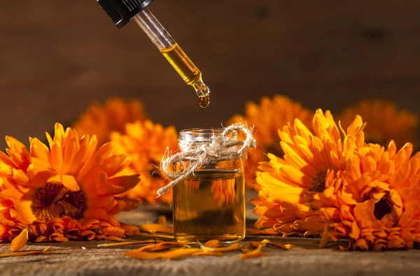 Marigold Essential Oil — Stock Photo, Image