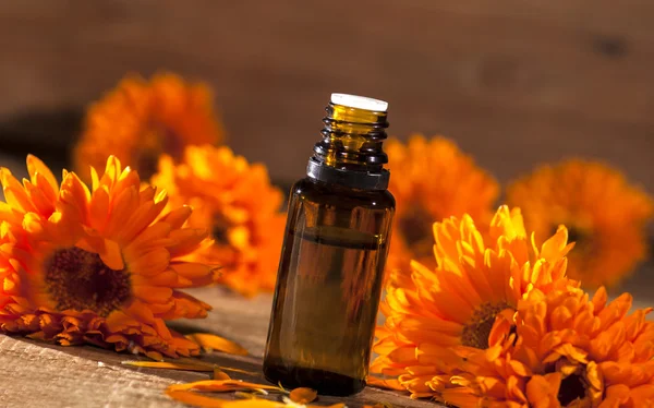 Marigold Essential Oil — Stock Photo, Image