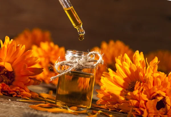 Marigold Essential Oil — Stock Photo, Image