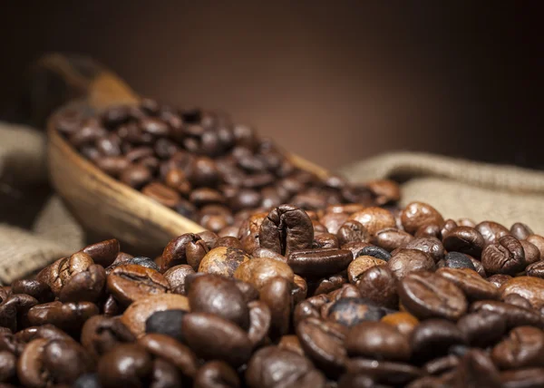 Coffee beans on spoon — Stock Photo, Image