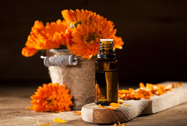 Marigold Essential Oil — Stock Photo, Image