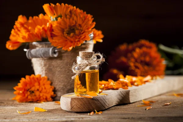 Marigold Essential Oil — Stock Photo, Image