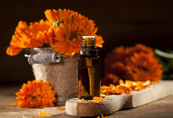 Marigold Essential Oil — Stock Photo, Image