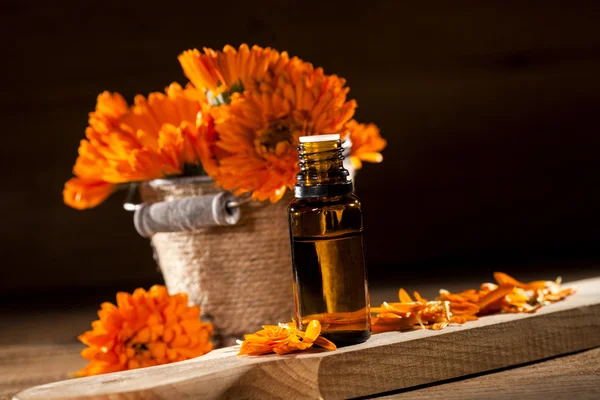 Marigold Essential Oil — Stock Photo, Image