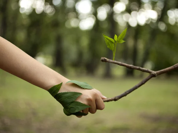 Amar la naturaleza — Foto de Stock