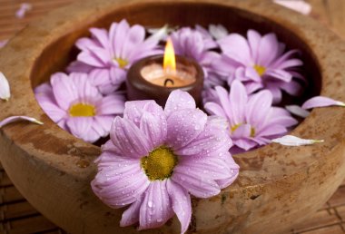 Spa arka plan
