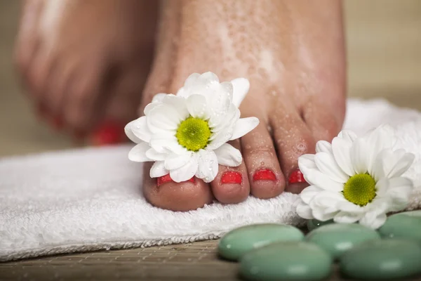 Foot Spa Background — Stock Photo, Image