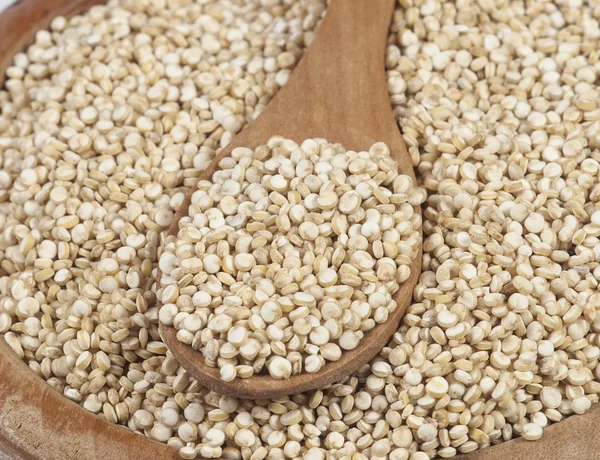 Quinoa — Stockfoto