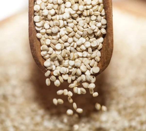 Quinoa — Stock fotografie